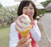 とちおとめミックス2