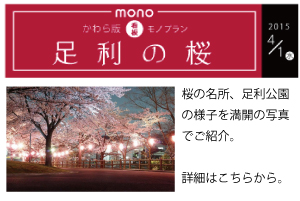 看板屋が行く足利の桜スポット